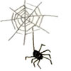 アイコン:クモと蜘蛛の巣