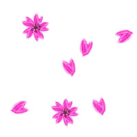 ネットショップ Webデザインの壁紙のフリー素材 大人可愛いピンクの桜のテクスチャ素材 Twitter Iphoneの背景 壁紙に ネットショップ制作などに使える約5000点のwebデザイン素材 Tigpig