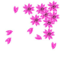アイコン Twitter Mixi ブログ のwebデザイン素材 大人可愛いピンクの桜の春らしいイラストのフリー素材 ネットショップ制作などに使える約5000点のwebデザイン素材 Tigpig