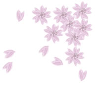 薄いピンクの桜の飾り枠のガーリーなwebデザイン素材 アイコン Twitter Mixi ブログ 壁紙のフリー素材 0 0pix Webデザインに使える素材 Tigpig