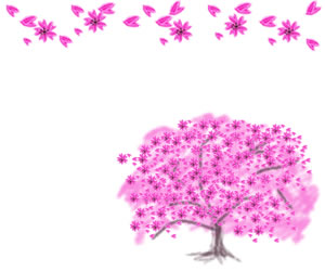 バナー広告 Webデザインのフリー素材 ピンクの桜の木と花びらのフレーム 飾り枠 300 250pix Webデザインに使える素材 Tigpig