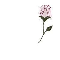 6月のネットショップ バナー広告のwebデザイン素材 大人可愛い薔薇