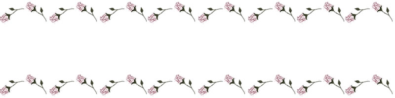 ネットショップ Webデザインのフリー素材 ピンクの大人かわいい薔薇 バラの花 の飾り罫のヘッダーの背景画像 Webデザイン イラスト素材 Tigpig