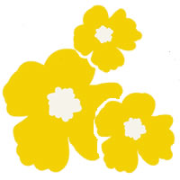 ホームページ ネットショップ Web制作のフリー素材 大人可愛い黄色の南国風の花 3輪 の壁紙 テクスチャ のフリー素材 0 0pix Webデザインに使える素材 Tigpig