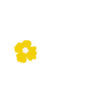 ホームページ ネットショップ Web制作のフリー素材 大人可愛い黄色の南国風の花 小さな1輪 の壁紙 テクスチャ のフリー素材 0 0pix Webデザインに使える素材 Tigpig