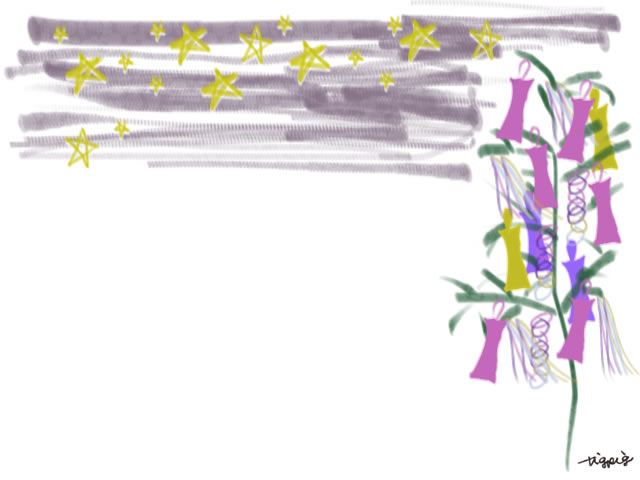ネットショップ バナー広告 Webデザインのフリー素材 七夕の笹飾りと星いっぱいの夏の夜のイラスト 640 480pix ネットショップ制作などに使える約5000点のwebデザイン素材 Tigpig