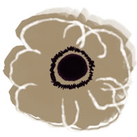 フリー素材 アイコン Twitter Mixi ブログ 壁紙 北欧風のシンプルなベージュの花 アネモネ のイラスト 0 0pix オンラインショップ制作やwebデザインに使える素材 Tigpig