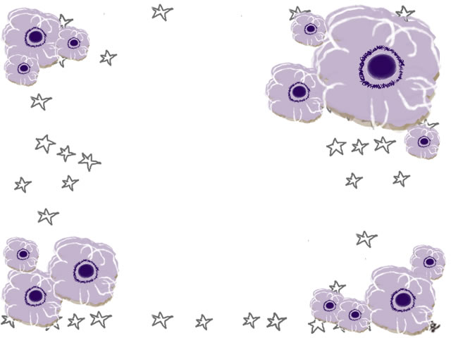 フリー素材 フレーム ガーリーな北欧風の花 薄紫のアネモネ と星 640 480pix Webデザインに使える素材 Tigpig