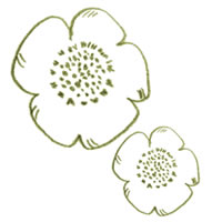 アイコン Twitter のフリー素材 北欧風の大人可愛い若草色のケシの花の色鉛筆画のイラスト 0 0pix Webデザインに使える素材 Tigpig