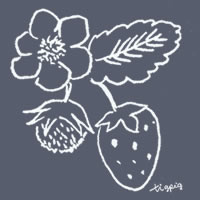 アイコン Twitter のフリー素材 黒板に描いたような北欧風デザインのイチゴとイチゴの花のイラスト 0 0pix Webデザインに使える素材 Tigpig