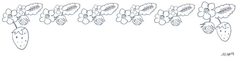 モノトーンの大人可愛い鉛筆画のイチゴの花のフリー素材 ヘッダー 800 0pix Webデザインに使える素材 Tigpig