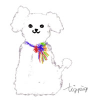 アイコン Twitter のフリー素材 大人可愛いプードル犬 ホワイト のイラストのフレーム 0 0pix Webデザインに使える素材 Tigpig