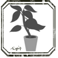Hp制作 Twitter Lineのアイコンに使える大人可愛い観葉植物のイラストのフリー素材 Webデザイン イラスト素材 Tigpig