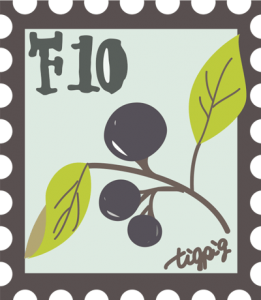 ネットショップに使えるシンプルな木と木の実のイラストの切手風webデザイン素材5点 Webデザイン イラスト素材 Tigpig